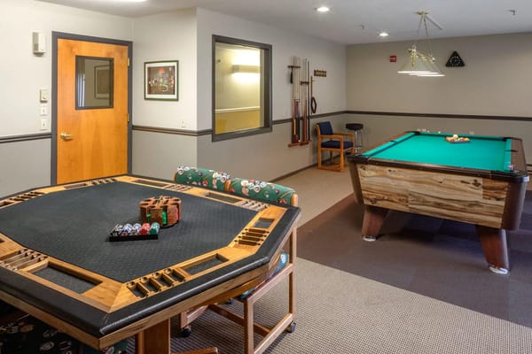 Interior view of a recreational room with pool table