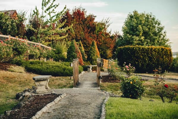 Gravel garden path surrounded by flowers and shrubs