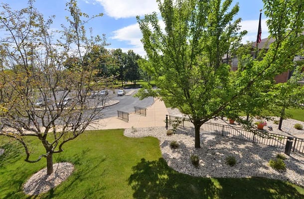 View of landscaped outdoor space with trees and pathways
