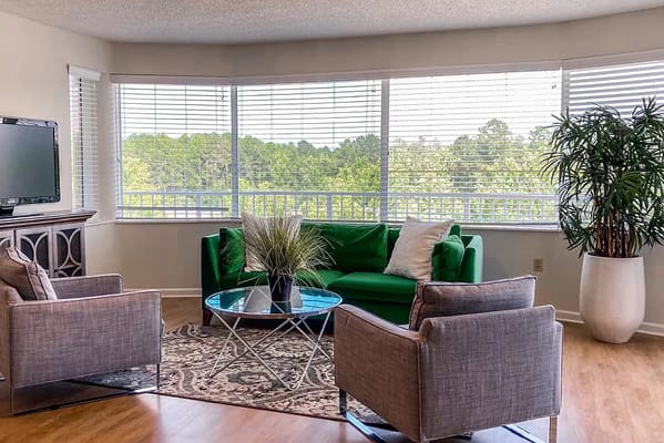Bright interior of a living area with green sofa