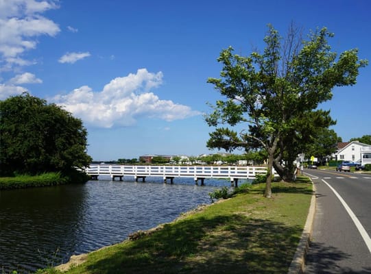 Scenic view of a pond with a white bridge