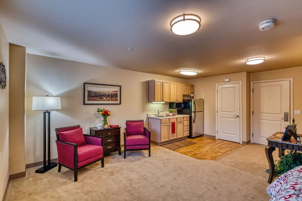 Living room setup with chairs and kitchenette