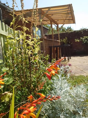 Vibrant garden flowers near a shaded seating area