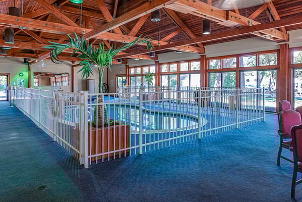 Indoor pool area with safety fencing and palm tree
