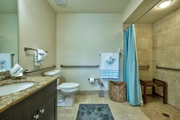 Bright and clean interior bathroom with grab bars