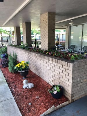 Colorful flower beds and decorative elements in shaded garden area