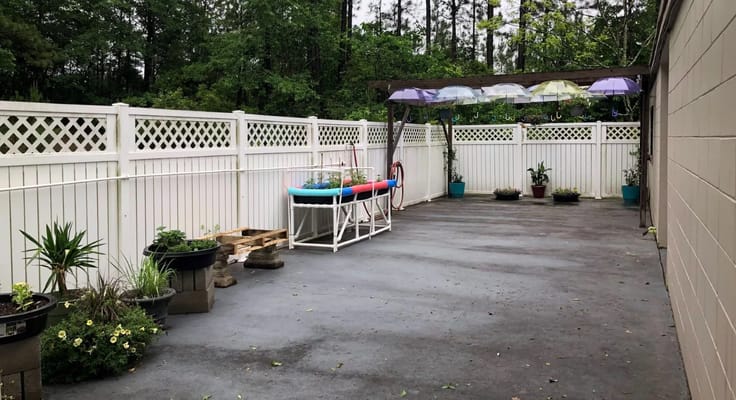 Outdoor patio area with potted plants and colorful umbrellas