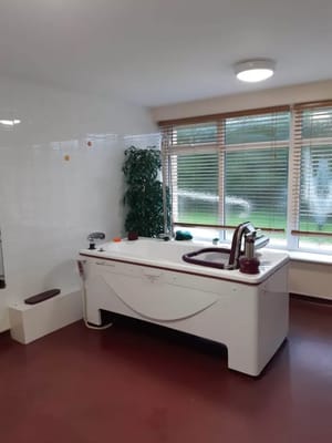 Accessible bathing area in a bright bathroom