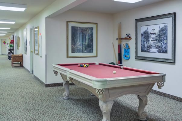 Interior game room with a pool table