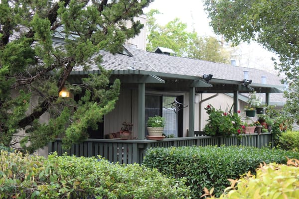Green outdoor space with pots and plants