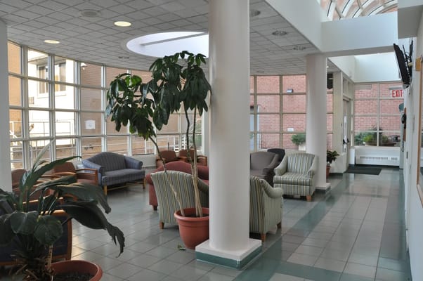 Bright common area with seating and plants.