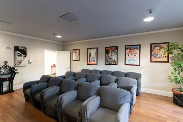 Theater room with grey chairs and vintage movie posters on the walls.