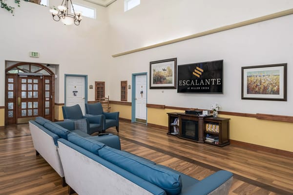 Common area with seating and decorations in the facility