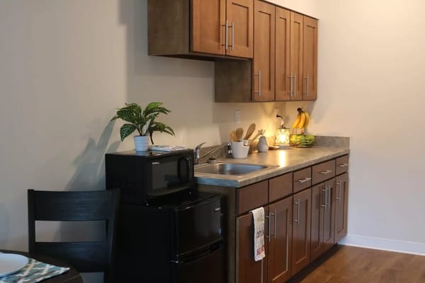 Modern kitchenette with cabinetry and countertop