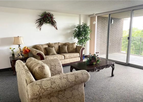 Living room featuring a sofa, armchairs, and a coffee table with decorative plants.