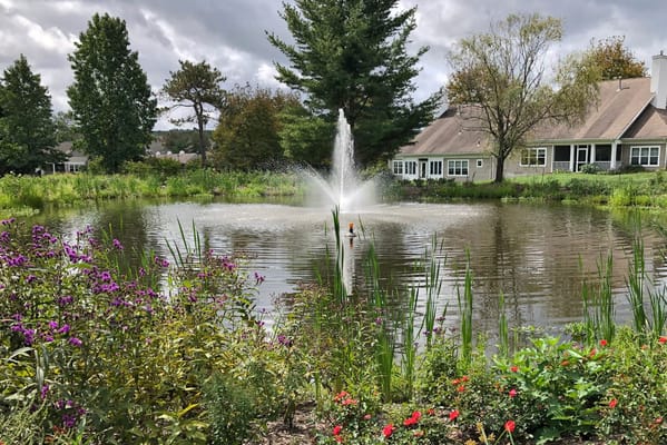 A peaceful pond with a fountain surrounded by greenery and flowers.