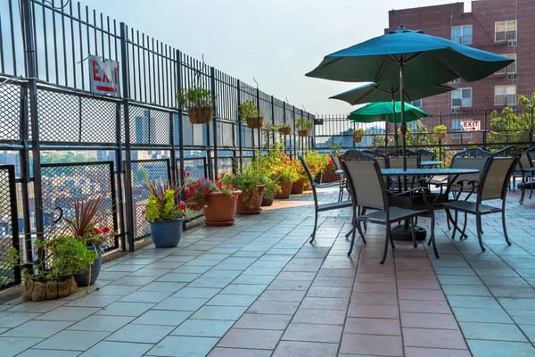 Outdoor patio with tables and plants