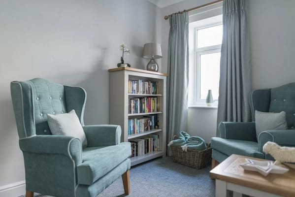 Cozy sitting area with armchairs and bookshelves