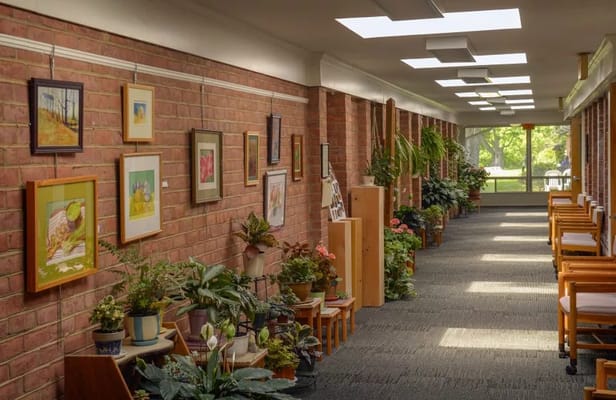 Bright corridor with plants and artwork on brick walls