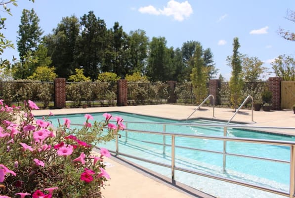 A serene outdoor pool area surrounded by flowers