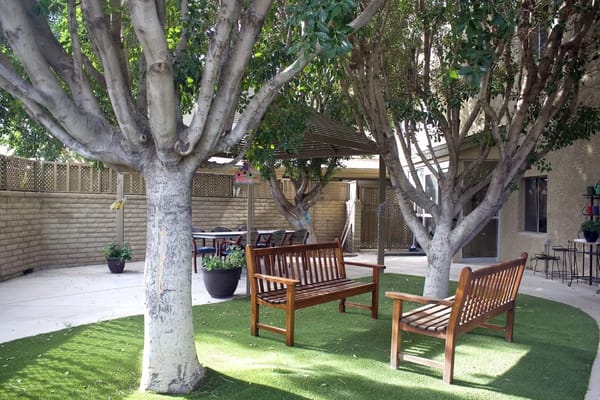 Outdoor seating area with benches and trees