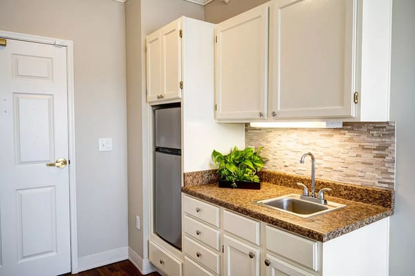 Modern kitchenette area in a resident's unit