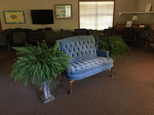 Cozy lounge area with a blue tufted sofa and ferns in pots.