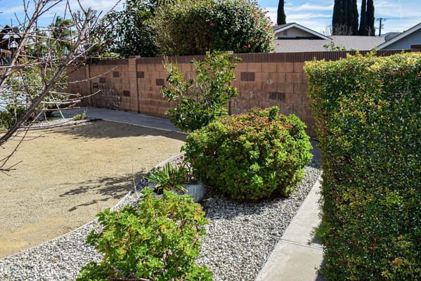 Well-maintained garden area with shrubs and walkways