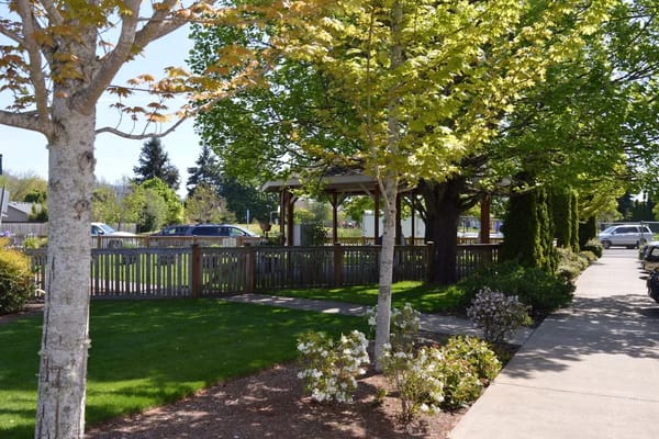 Outdoor space with trees and a gazebo