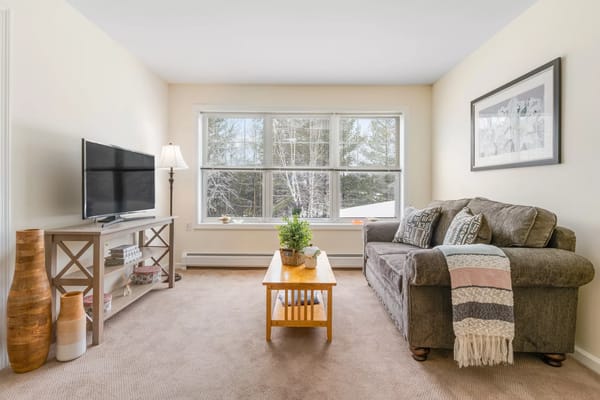 Comfortable living room with a sofa, TV, and large windows