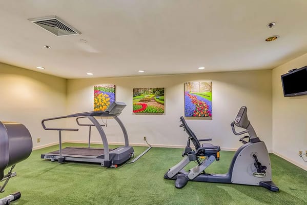 Exercise equipment in a well-lit fitness room