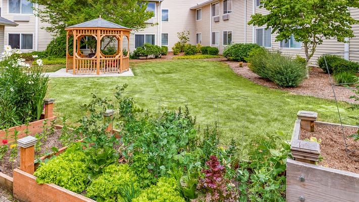 Garden area featuring a gazebo and vegetable beds at Holiday Edgewood Downs.