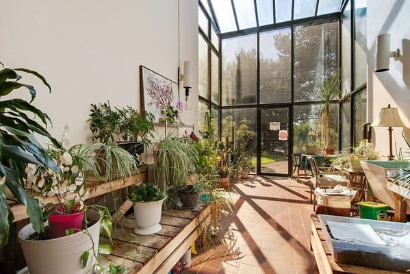 Interior of greenhouse filled with various plants and natural light