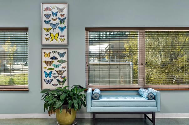 Bright interior space with butterfly artwork and plants