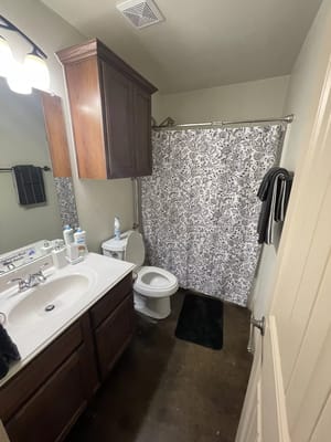 A residential bathroom featuring a sink, toilet, and shower curtain.