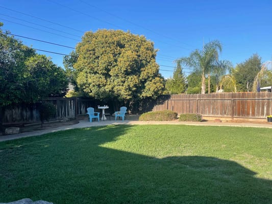 Backyard with blue chairs and greenery