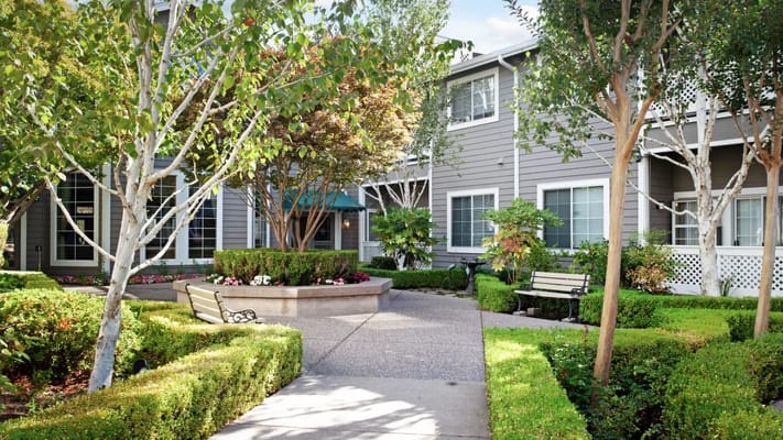 Beautiful outdoor garden area with seating