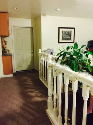 A well-lit hallway with a railing and decorative plant