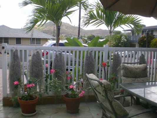 Outdoor seating area with plants and mountain view