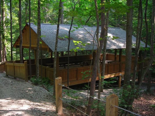 Shaded outdoor pavilion surrounded by trees