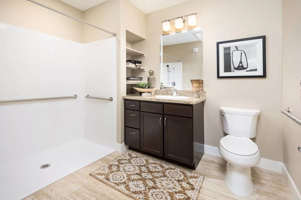 Modern bathroom with a shower, dark cabinets, and decorative rug.