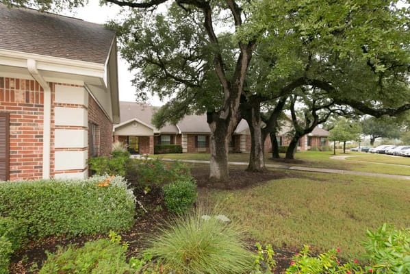 Outdoor garden view with trees and pathways