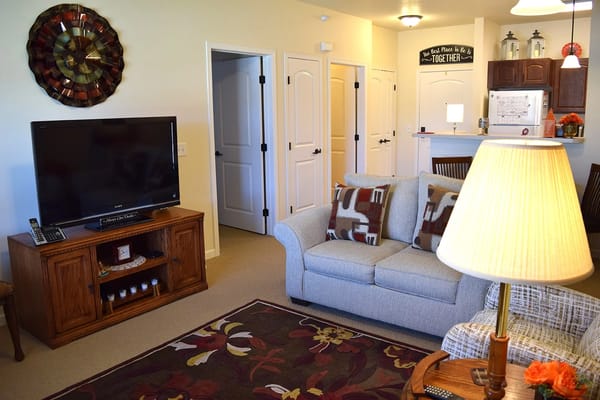 Cozy living room interior with a sofa and television