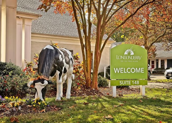 Exterior view of Londonderry on the Tred Avon with a cow statue