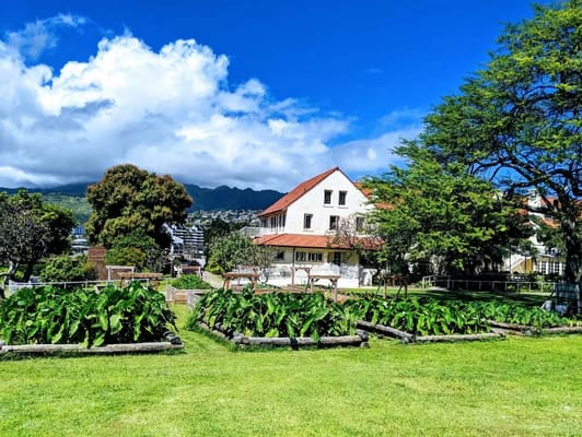 Expansive garden with raised beds and the Lunalilo Home building in the background.