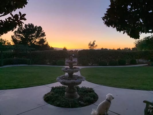 Beautiful sunset view in a garden space