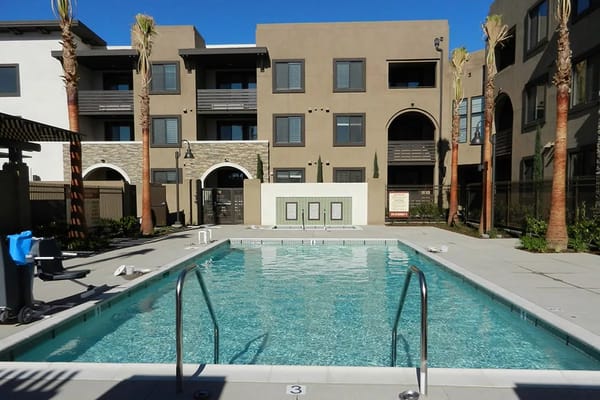 Clear swimming pool surrounded by palm trees and apartments