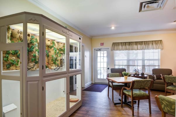 Bright common area with seating and an indoor habitat.