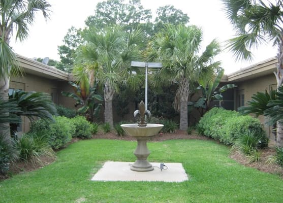 Garden area featuring a fountain and palm trees