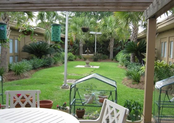 Beautiful courtyard with fountain and greenery
